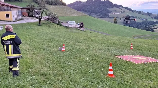 Zahlreiche Weidetiere über Felsen gestürzt, Großeinsatz für 