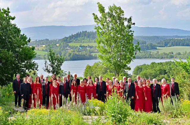 [Anzeige] Seltenheimer Sommerkonzert 2026