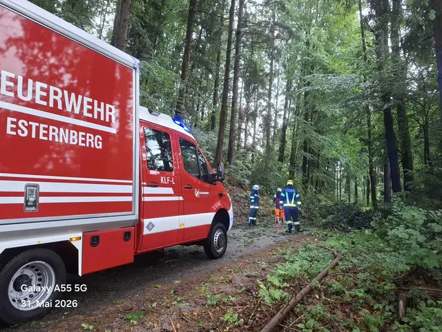 Nach Fahrzeugsegung und Maibaumfest ging's schnurstracks zum