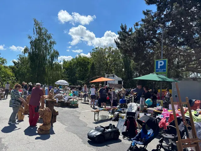 Bereits am frühen Vormittag herrschte reges Treiben, und der gesamte Parkplatz war bis auf den letzten Platz gefüllt. | Foto: Manuela Danzinger