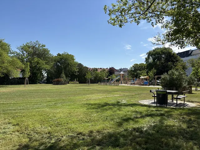 Wichtig war dem Planungsteam der MA 42 – Stadtgärten, dass die Wiese weiterhin offen bleibt.  | Foto: Michael Marbacher/MeinBezirk