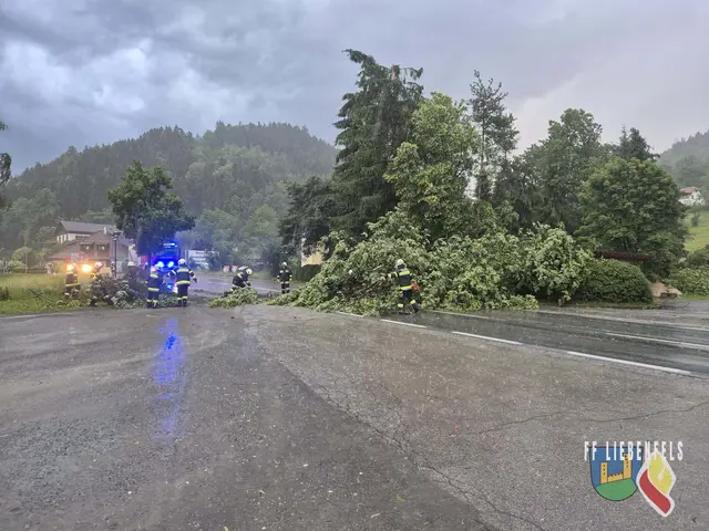 Gewitter sorgte für Baumstürze und vielerlei Einsä