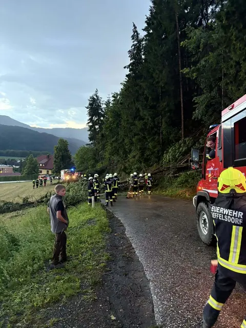 Foto: Feuerwehr Treffelsdorf