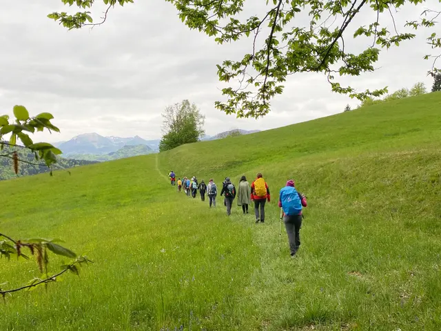 Zwischen Ende Juni und Anfang August wird auch durch Österreich gepilgert. (Symbolfoto) | Foto: Diözese Linz/Andrea Reisinger