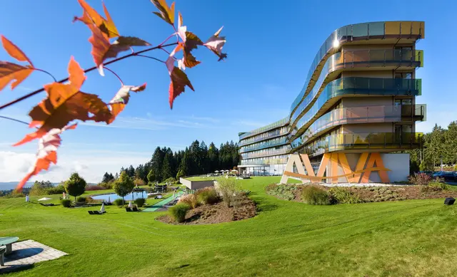 Hotel Aviva revolutioniert Alleinreisen, gewinnt b