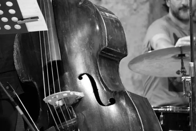 Kontrabass (Symbolbild) | Foto: pixabay / tatlin