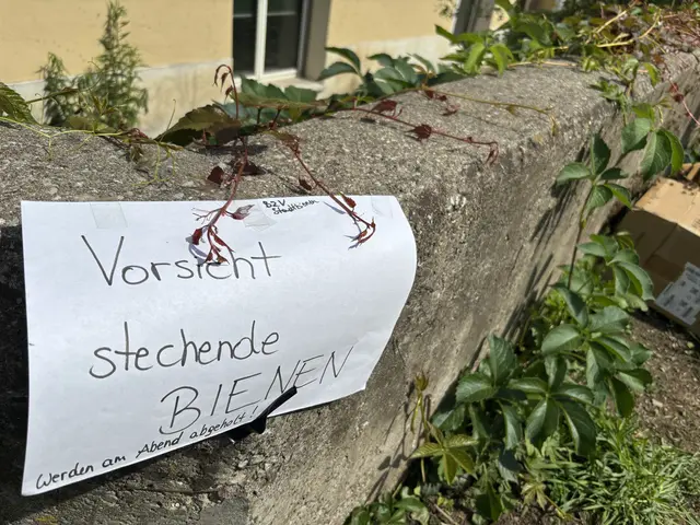 Foto: MeinBezirk/Stephan Fugger