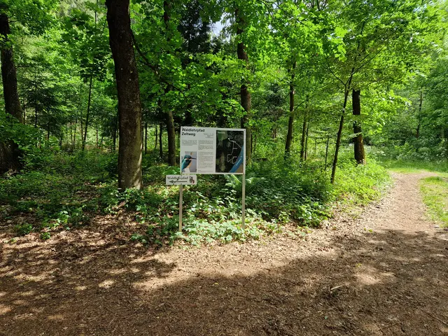 Waldlehrpfad bei Zeltweg