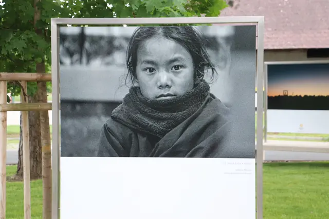 Foto: Edith Ertl