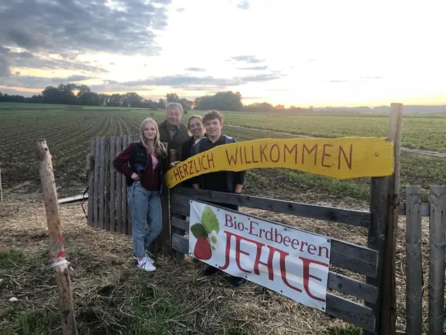 Familie Jehle freut sich über die reichhaltige Erdbeer-Ernte. In Hart werden die Früchte nach den strengen Richtlinien des biologischen Landbaus angebaut. | Foto: Bio-Erdbeeren Jehle