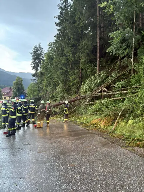 Foto: Feuerwehr Treffelsdorf