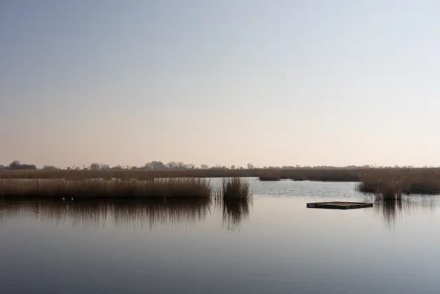 Im Nationalpark Neusiedler See–Seewinkel stehen grenzüberschreitende Zusammenarbeit, Biodiversität und der Schutz bedrohter Grasland-Lebensräume im Mittelpunkt der internationalen Fachtagung. | Foto: Christian Krutis/MeinBezirk