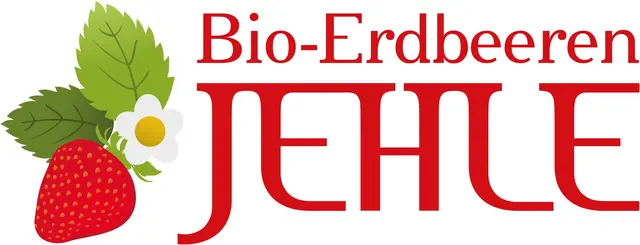 Bio-Erdbeeren bei Familie Jehle in Wieselburg-Land | Foto: Bio-Erdbeeren Jehle