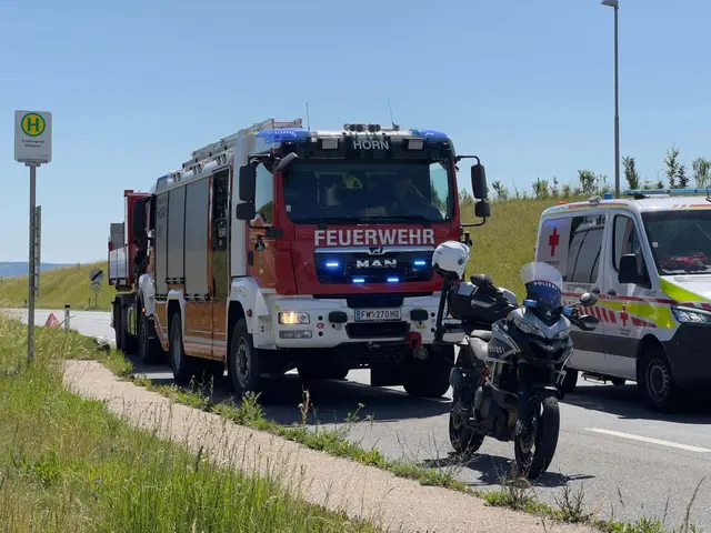 Foto: Feuerwehr Horn