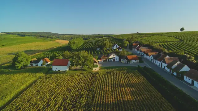 So profitieren Gastronomie, Landwirtschaft in Mistelbach dav