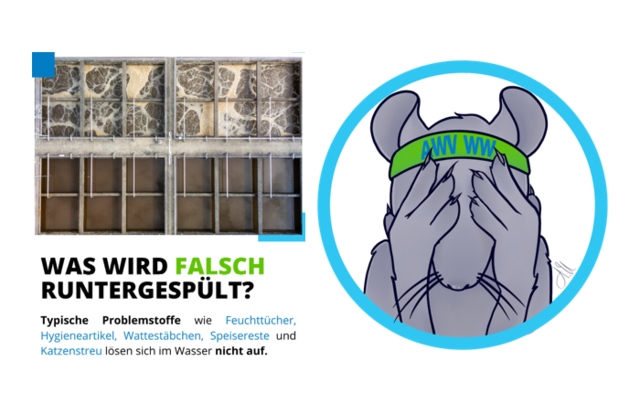 [Anzeige] Was Ratten anzieht und wie wir gemeinsam vorbeugen