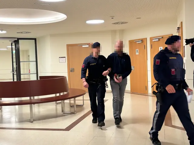 Der Angeklagte konsumiere gezielt Darstellungen schwersten sexuellen Missbrauchs.  | Foto: Ronja Reidinger/MeinBezirk