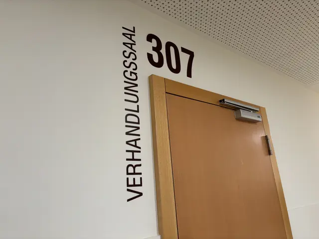 Insgesamt 62 Angriffe werden ihm vorgeworfen.  | Foto: Ronja Reidinger/MeinBezirk