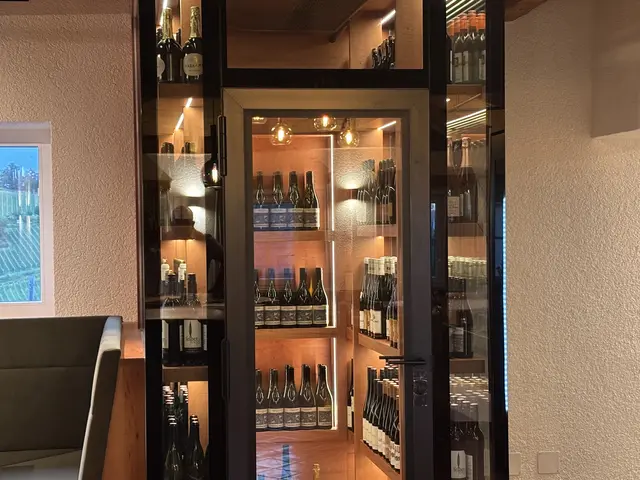 Ein gelungener Raumteiler: Der begehbare Weinschrank zieht alle Blicke auf sich. | Foto: MeinBezirk/Waltraud Fischer