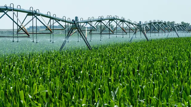 Mit dem zunehmenden Bewässerungsbedarf in der Landwirtschaft rechnen die Gründer auch in den kommenden Jahren mit einer steigenden Nachfrage nach digitalen Lösungen.  | Foto: unsplash / Lumin Osity