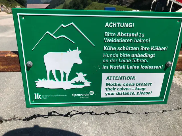 Foto: Klaus Kogler