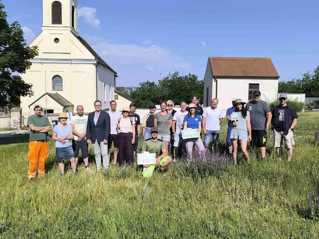 Naturblumenwiesen als blühende Alternative