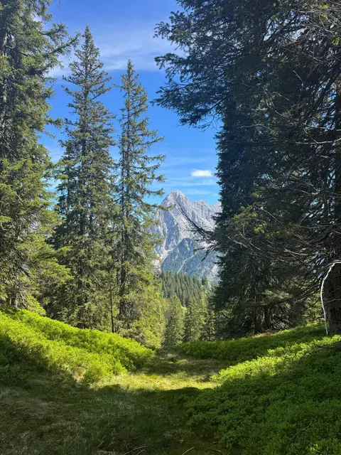 Foto: Alpenverein Enns