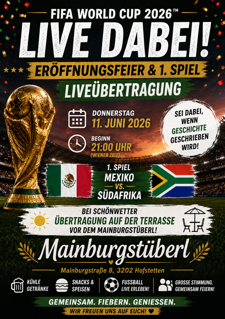 Übertragung der WM-Spiele
