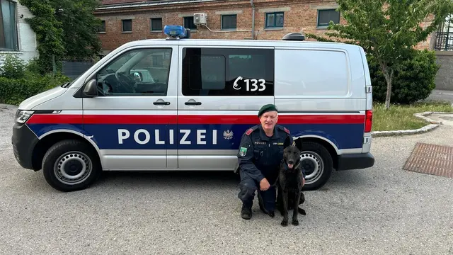 Polizeihund "Nox" erschnüffelte geflüchteten Häftling