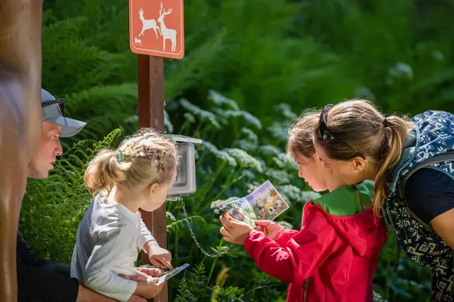 Viele touristische Höhepunkte in Eben im Pongau