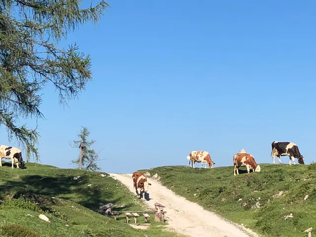 Foto: Klaus Kogler