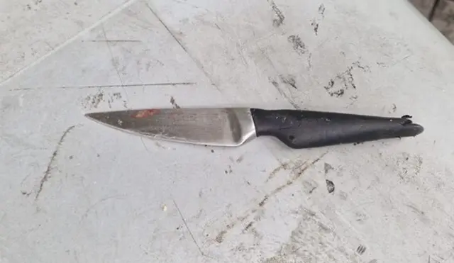 Mit diesem Messer soll eine Frau ihren Lebensgefährten verletzt haben. | Foto: LPD Wien