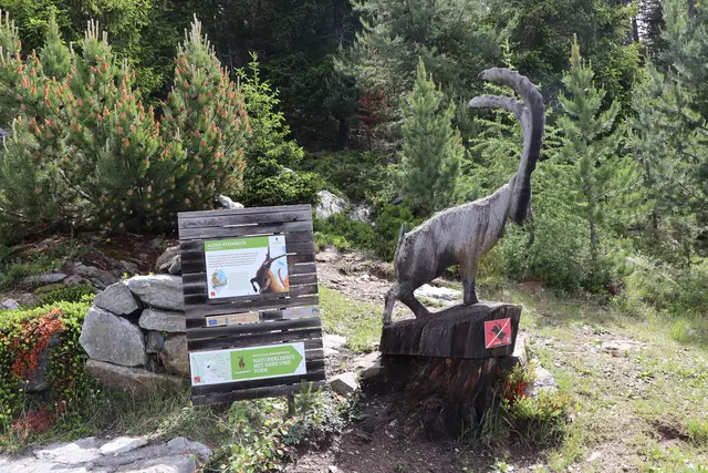 Die Aufgaben für das Naturpark-Team sind sehr vielfältig. | Foto: Thomas Seelos