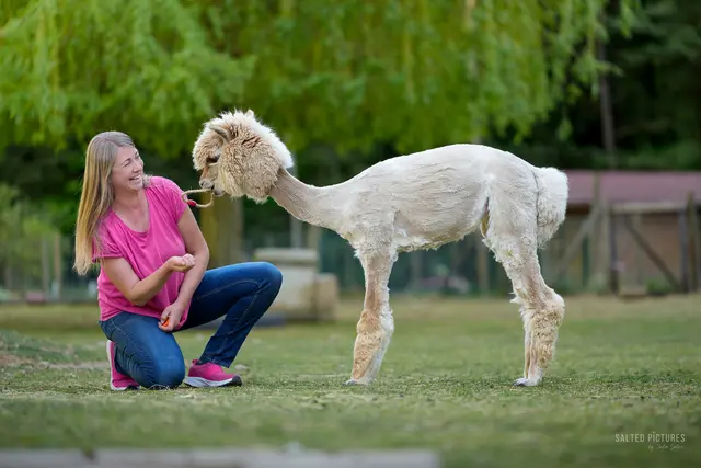 Anna Oblasser-Mirtl hat das AnimalTrainingCenter vor 20 Jahren gegründet. | Foto: www.salted-pictures.at.