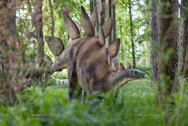 Ausfliegsziele im Bezirk Ried für Groß und Klein