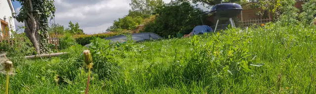 Foto: Tierschutz Austria