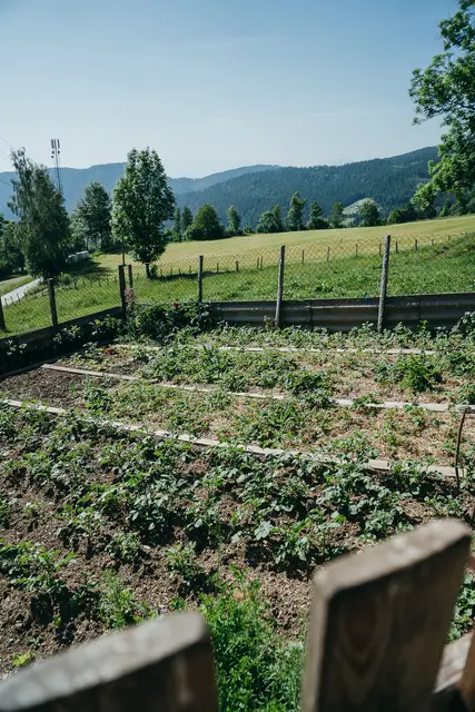 Foto: Gemeinde Albeck