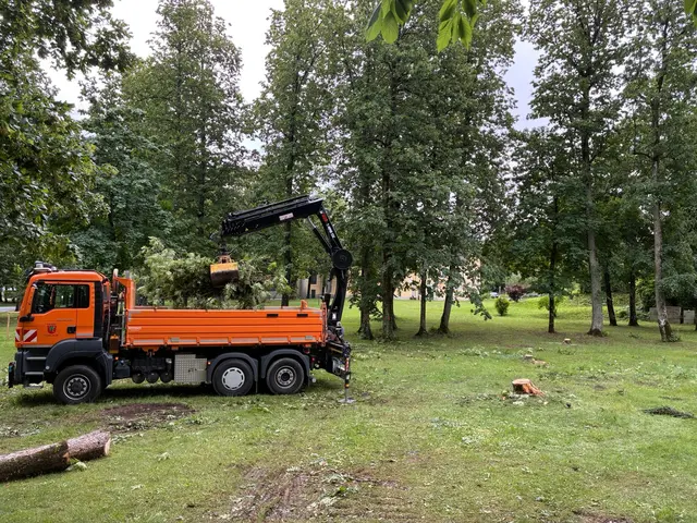 Aufregung um Baumfällungen im Schlosspark Ferlach