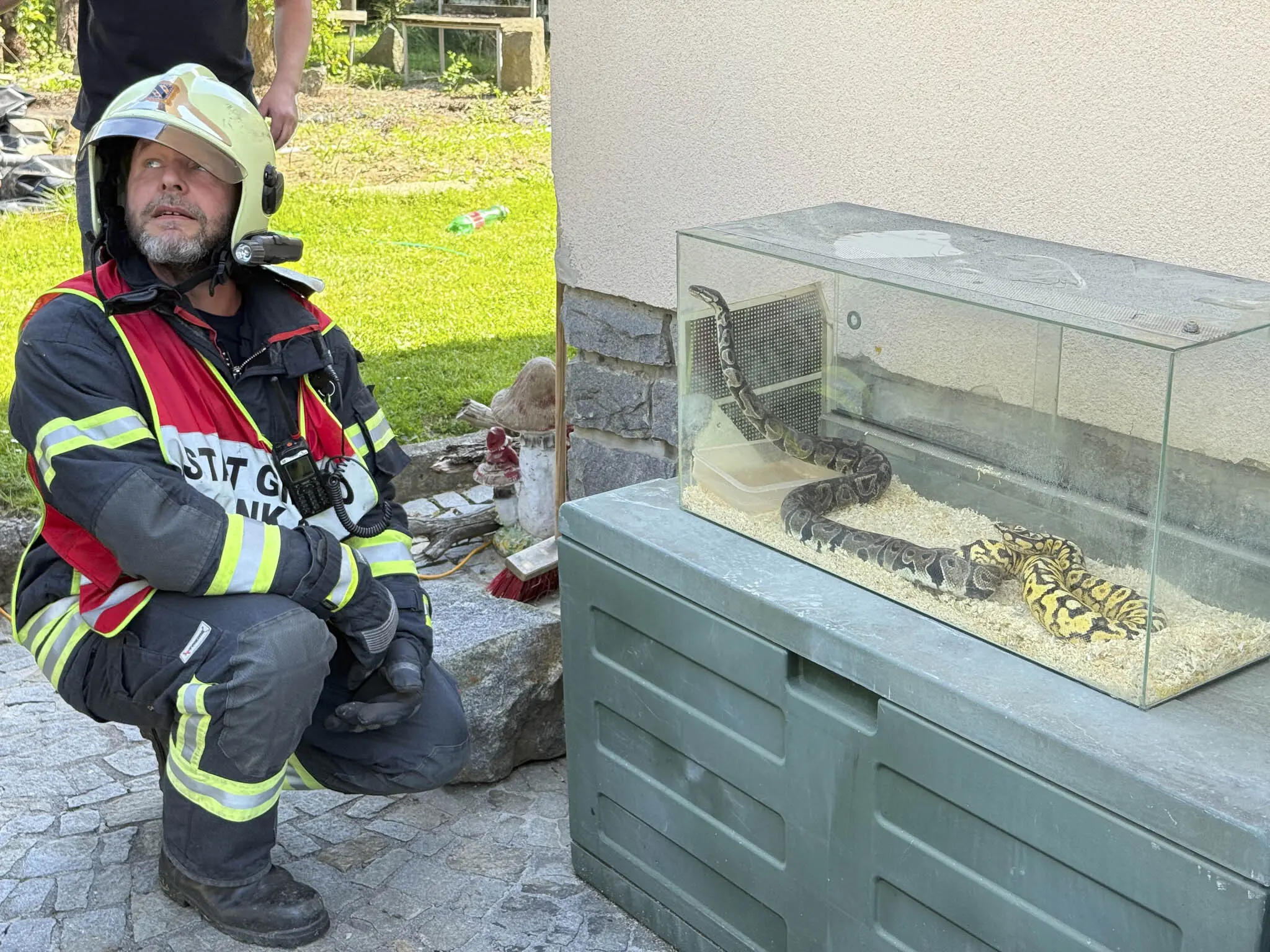 Gmünd: Feuerwehren retten Pythons aus brennendem Wohnhaus