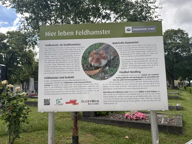 Foto: Marlene Graupner/MeinBezirk