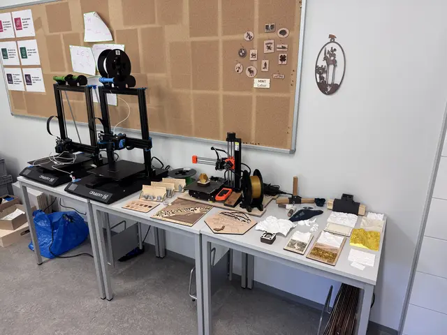 Im neu eingerichteten MINT-Labor stehen an der Nationalparkmittelschule Defereggental nun auch 3D-Drucker für Projekte zur Verfügung.
 | Foto: Schulcluster Defereggental
