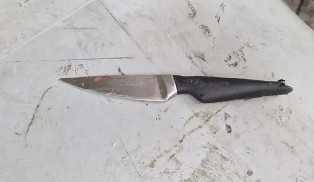 Mit diesem Messer soll eine Frau ihren Lebensgefährten verletzt haben. | Foto: LPD Wien