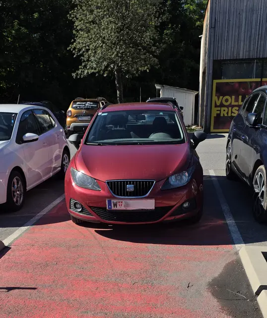 Nein, das ist eigentlich kein Parkplatz, wo der Wiener seinen Pkw abgestellt hat. | Foto: Name d. Fotografen d. Red. bekannt