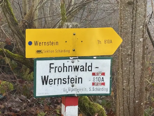  Auch der bekannte Weitwanderweg 810 A führt über das Turmareal. Viele Wanderer von „drent &amp; herent“, die am 589 m hohen Fronberg vorbeikommen wundern sich jetzt schon über zwei Jahre über den Schutthaufen. | Foto: Franz Gruber