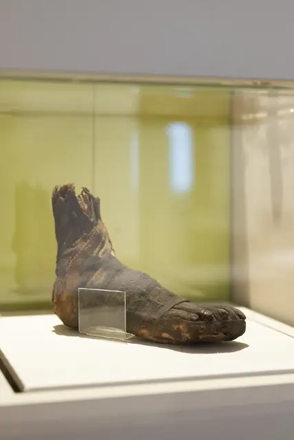 Wie kam der einzelne Mumienfuß aus dem 2./1. Jahrhundert v. Chr. in die Archäologische Sammlung der Tiroler Landesmuseen? | Foto: © Maria Kirchner