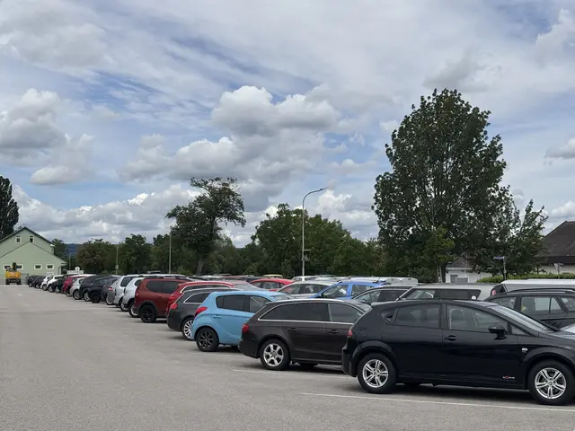 Aktuell gibt es 230 Parkplätze. | Foto: Dorottya Fejes/MeinBezirk
