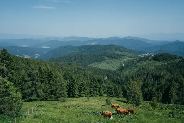 Foto: Gemeinde Albeck
