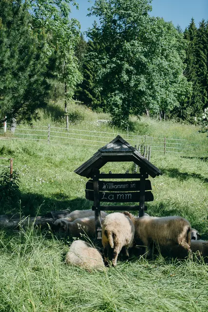 Foto: Gemeinde Albeck