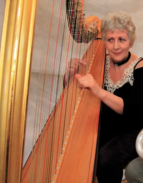 Eva Hoffellner an der Harfe beim Erzählkonzert "Die Gaben der Tiere" im Theresienhof, Graz Weinitzen | Foto: Foto c by Birgit Dietze-Mellak 2018