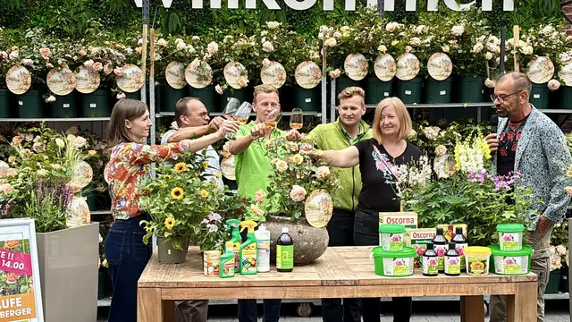 Rosentaufe: „Château Apricot“ begeistert mit Farbenspiel